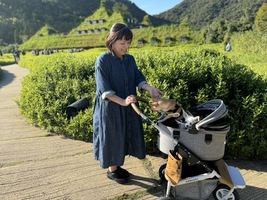 女性への健康美容とホルモン改善　